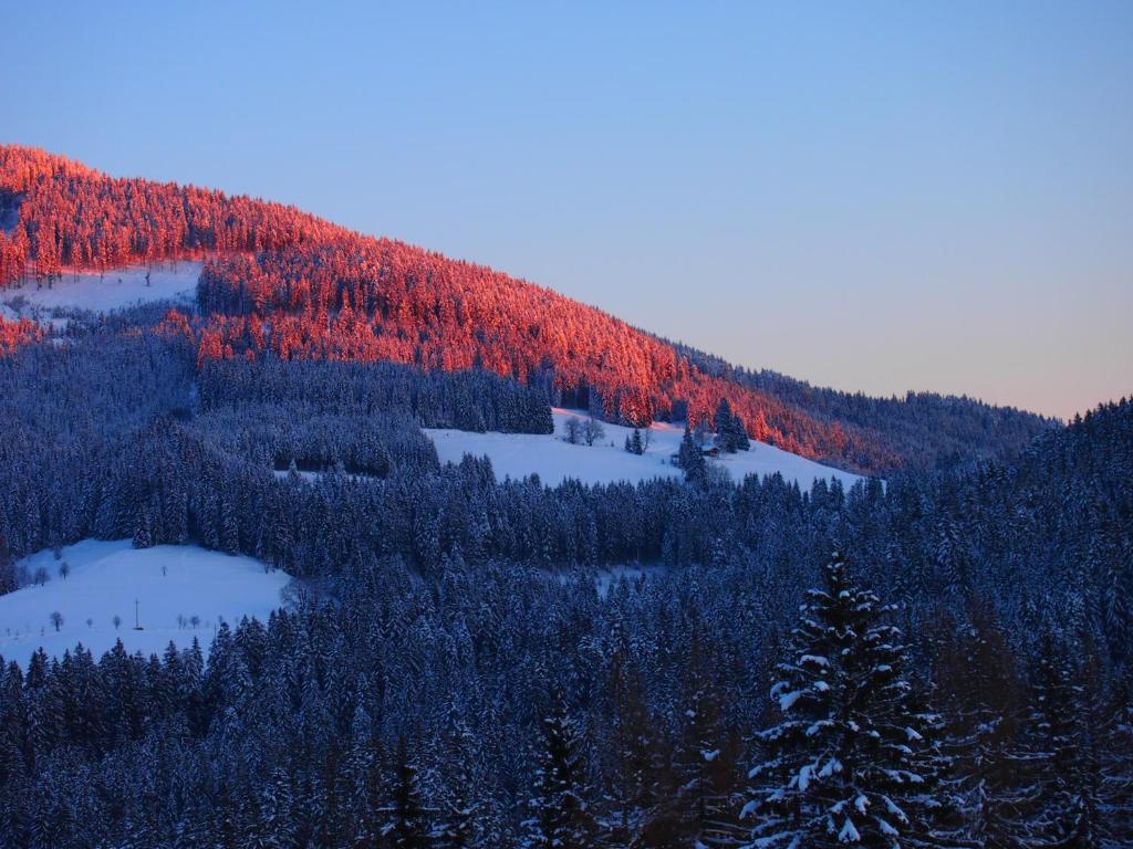 Appartment Kainhofer Sankt Martin am Tennengebirge Exterior foto